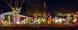 Holiday Lights_20111-3